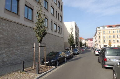 neue Straßenbäume in der Gießerstraße - Grundschule Am Grünen Gleis